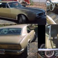 1967 Signet Gold Pontiac Firebird 326 Coupe 2