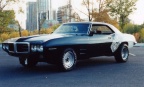 1969 black cherry metallic white pearl Pontiac Firebird Modified Coupe