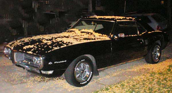 1968 Black Pontiac Firebird 350 Coupe